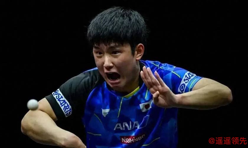 张本智和遭遇8连败！被克星王楚钦打懵，网友感叹：既生瑜，何生亮？
