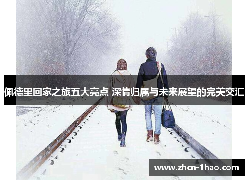 佩德里回家之旅五大亮点 深情归属与未来展望的完美交汇