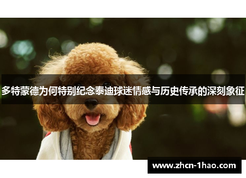 多特蒙德为何特别纪念泰迪球迷情感与历史传承的深刻象征